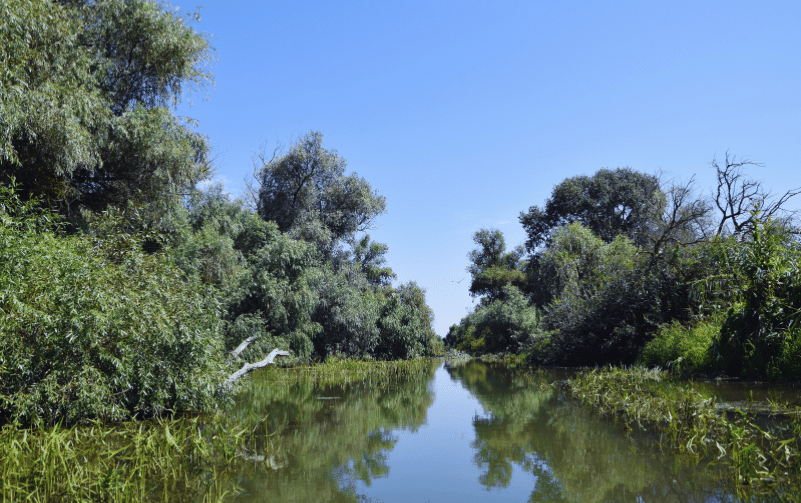 Is Napa River Salt Water, Napa River, River Napa Valley, What is the river in napa called