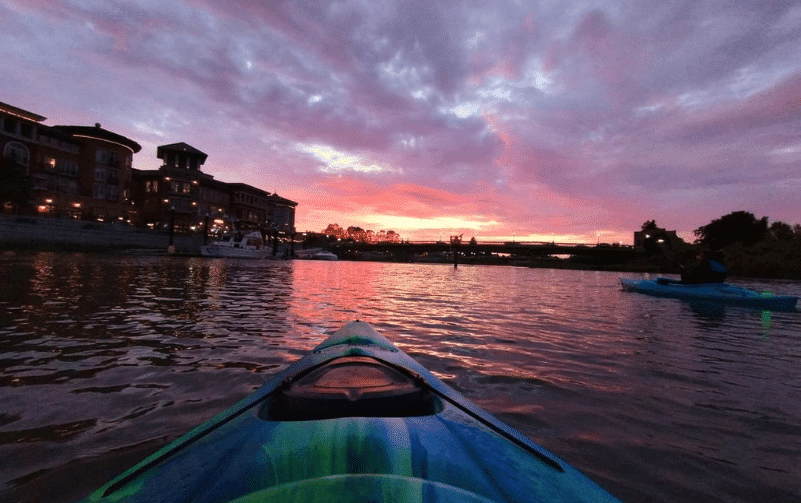 Solo Kayak Tours & Rentals