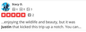 do in napa, best kayak company, napa kayak rental, napa kayaking, Napa River, kayak, kayaking, Wildlife