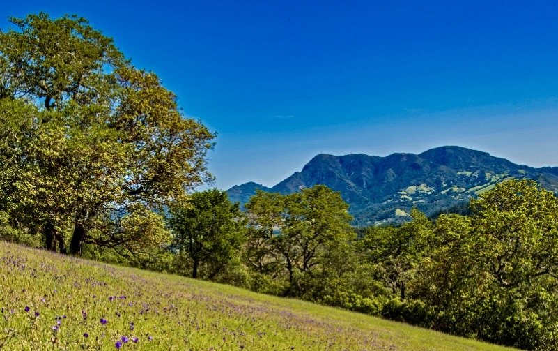 Hiking Trails Napa: Lush Trails,Waterfalls, Scenic Sips, and That Looming Monster: Berryessa Peak