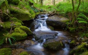 Napa Valley watershed, napa county watershed, napa streams
