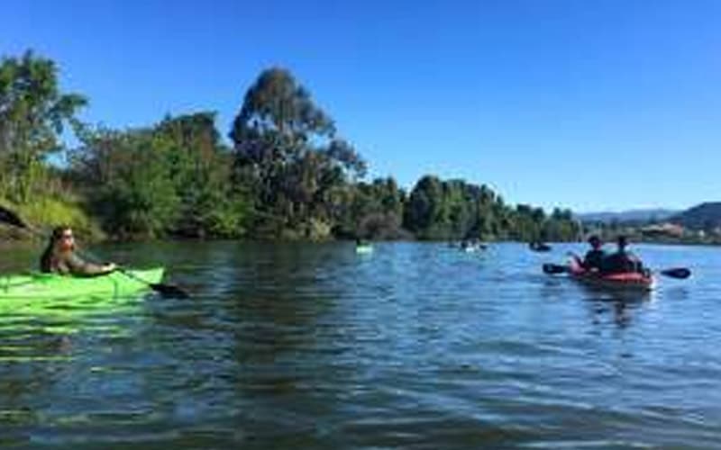 Kayaking in the Napa Valley!