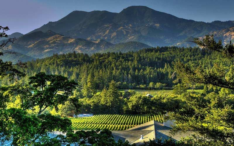 Things to Do in Napa Other Than Wine
